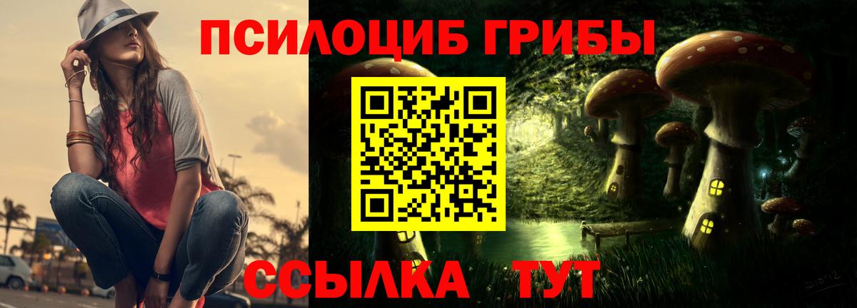 Галлюциногенные грибы Cubensis  Вход с VPN  Белая Калитва 